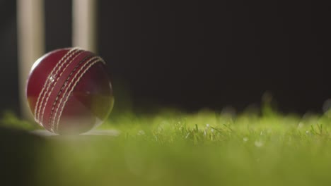 vida muerta de cricket con primer plano de la pelota en el bate acostado en la hierba delante de los troncos 2