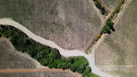 toma aérea del hotel vik, millahue, chile, uhd 4k