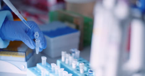 científico que trabaja en microbiología de laboratorio 6