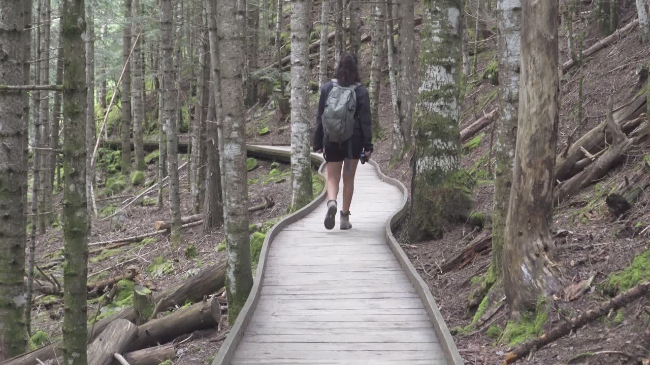 초록색 숲의 나무로 된 길을 따라 트레킹하는 배을 가진 소녀의