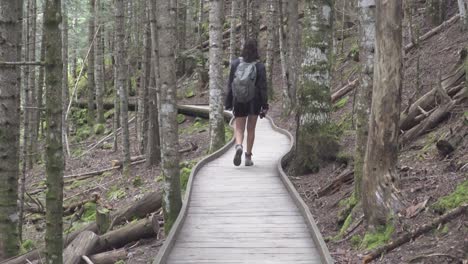 Back-shot-of-a-girl-with-a-backpack-trekking-along-a-wooden-path-in-a-green-forest