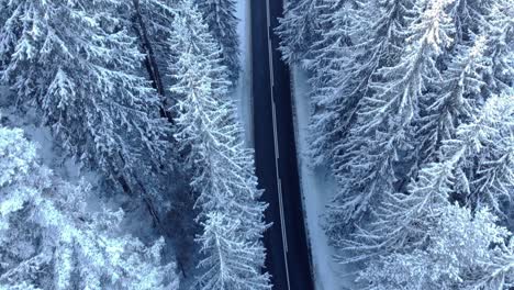 Narrow-Concrete-Highway-Between-Snowy-Forest---aerial-shot