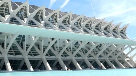 a nice view of the principe felipe science museum in valencia spain