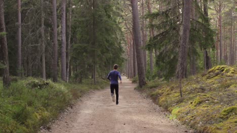 brave lonely man walks and starts to run deep into forest on gravel road