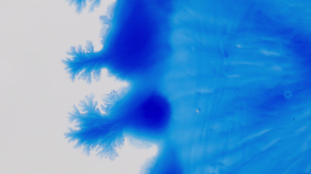 Flusso di inchiostro blu e alcol in macro, movimento astratto e rilassante