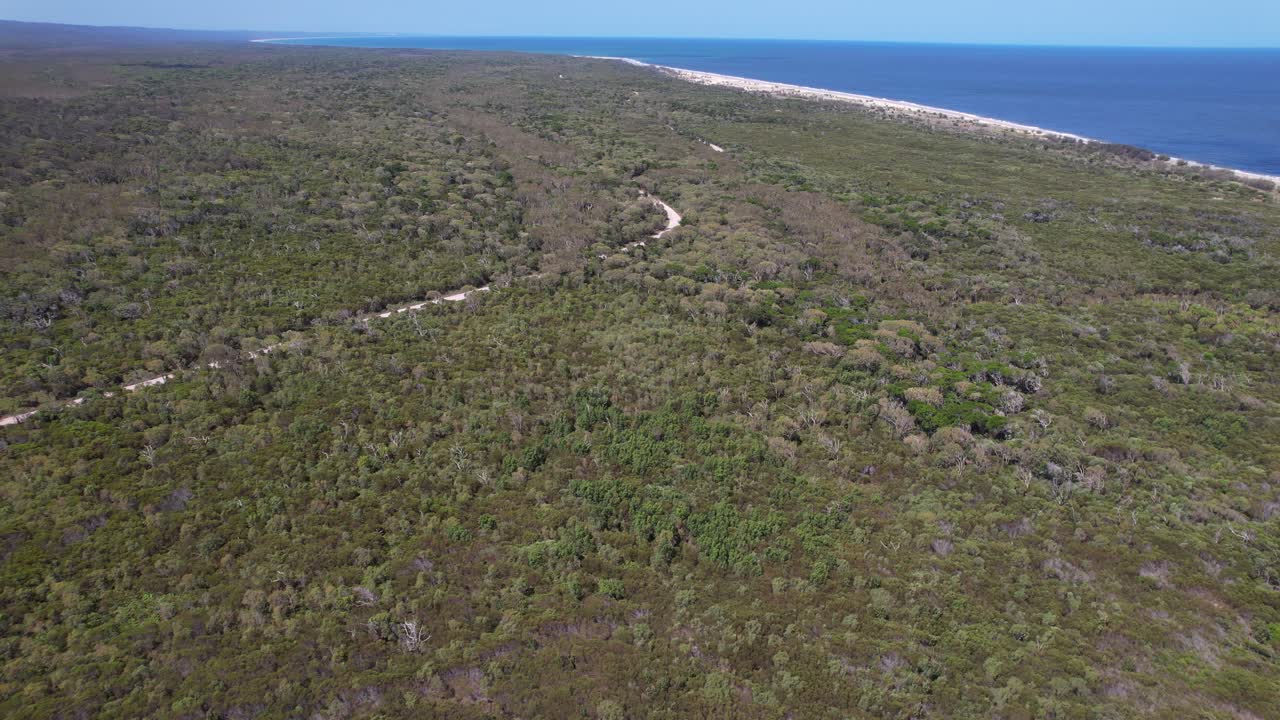 Lush Vegetation In Inskip, Queensland, Australia - Drone Shot
