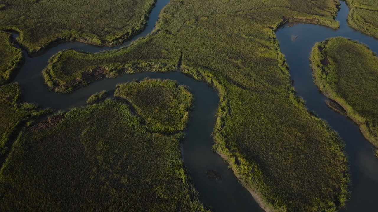 Aerial view of a marshland with winding rivers