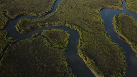 aerial view of a marshland with winding rivers