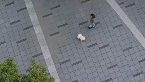 Top-view-of-woman-and-dog-in-the-street