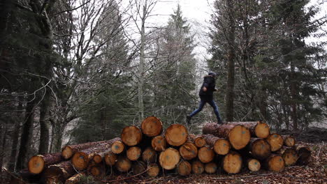 caminar cuesta arriba sobre troncos de leña en los bosques de los alpes suizos