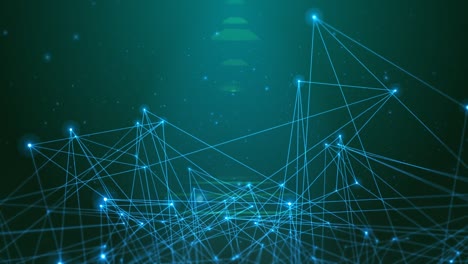 raising and growing dark web network