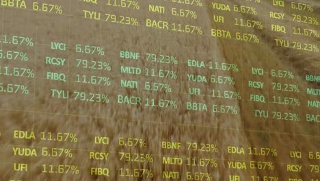 animation of financial data processing over agriculture field