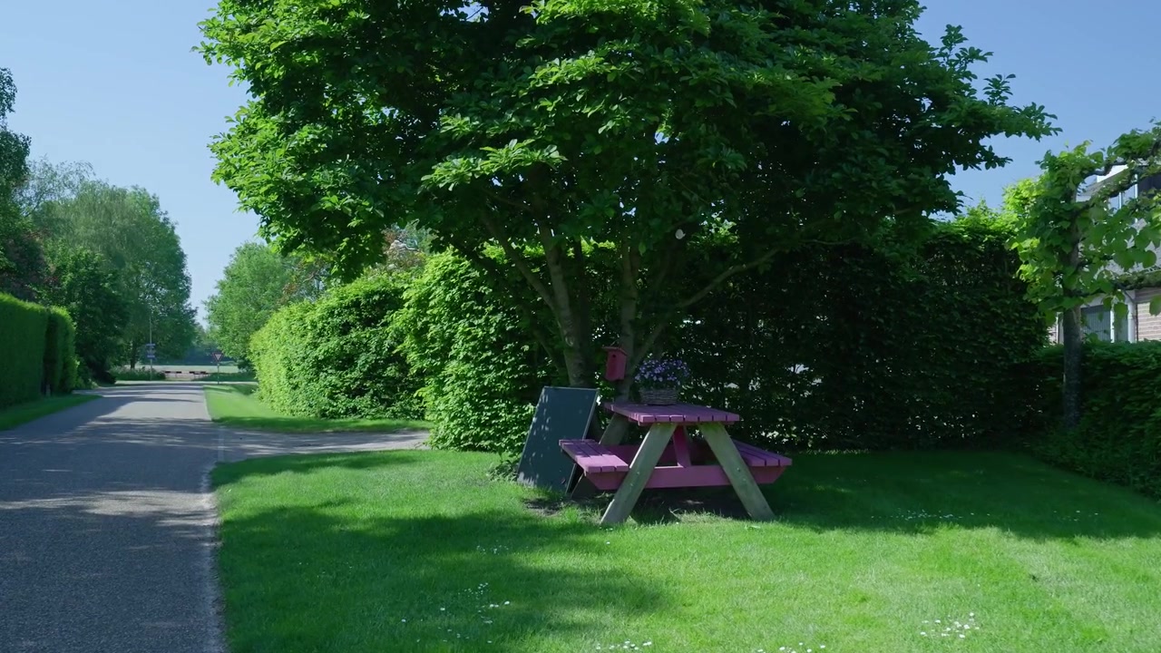 Pink Picnic Table Under a Large Tree in a Sunny Garden