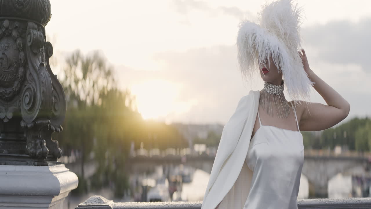 Elegant Woman in Paris