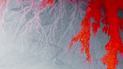 abstract ink patterns swirling in water, creating red and pink branching effects