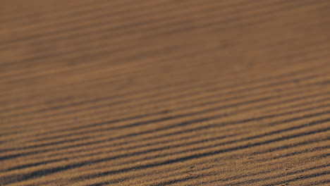 atmospheric close up of sand formed in stripe patterns