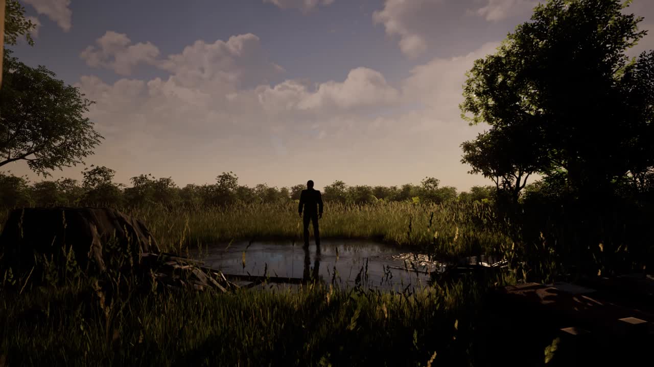 어두운 그림자를 만드는 태양과 함께 숲에서 서있는 검은 옷을 입은 남자, 3d 애니메이션, 애니메이션 풍경, 나무 오두막 내부에서 카메라  ⁇