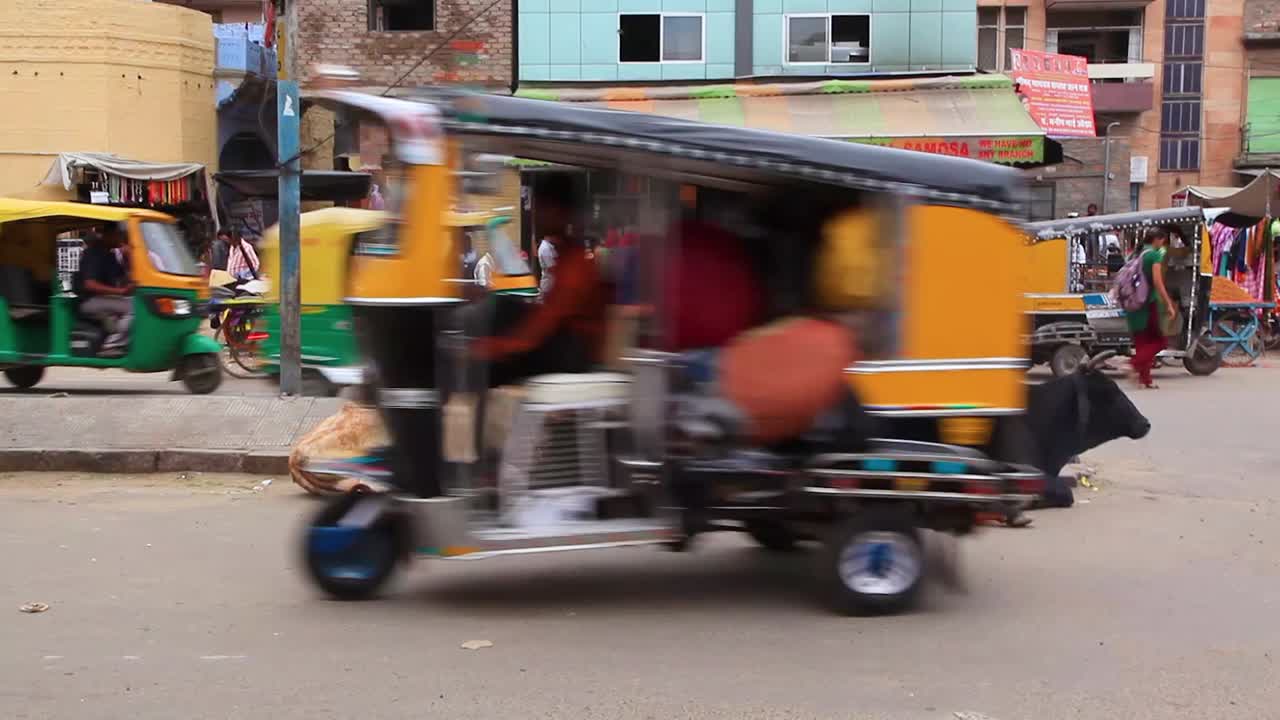 교통이 지나가는 동안 신성한 소는 인도의 거리에 침착하게 앉아 있습니다.