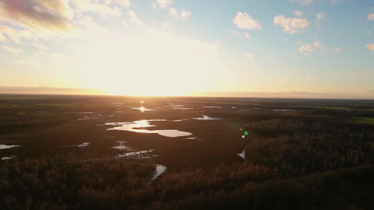 습지 위 의 해 가 지는 것