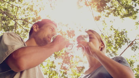 couple drinking wine together in the park on sunny day