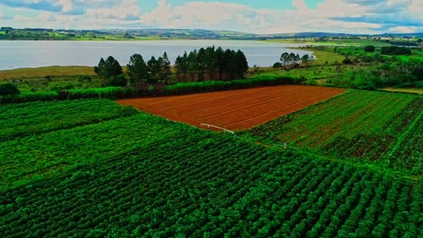 Un-Dron-Aéreo-Disparó-Sobre-Un-Campo-De-Agricultores-En-América-Del-Sur-Mientras-Tres-Hombres-Transportaban-Tuberías-Por-El-Campo