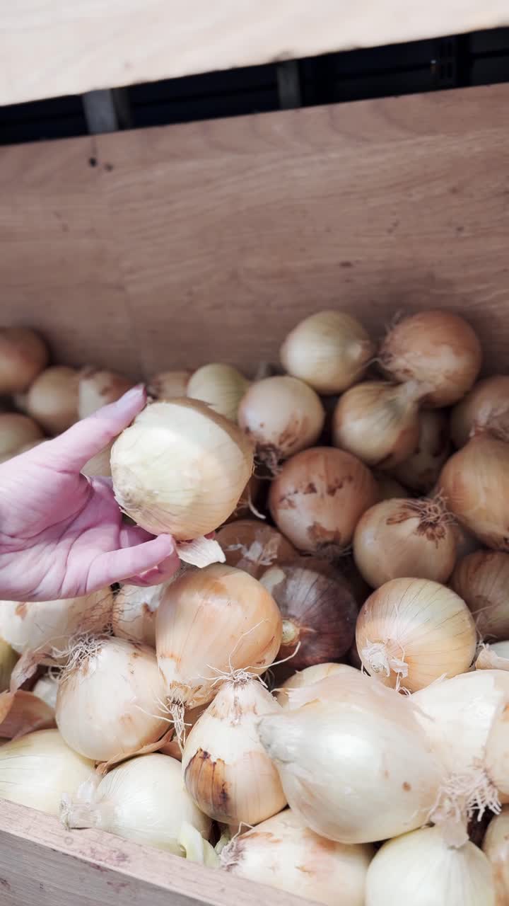 Person shopping for onions in a grocery store