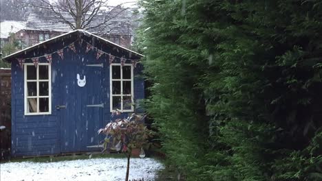 first snow of winter in january in english garden with blue shed, union jack bunting and evergreen trees
