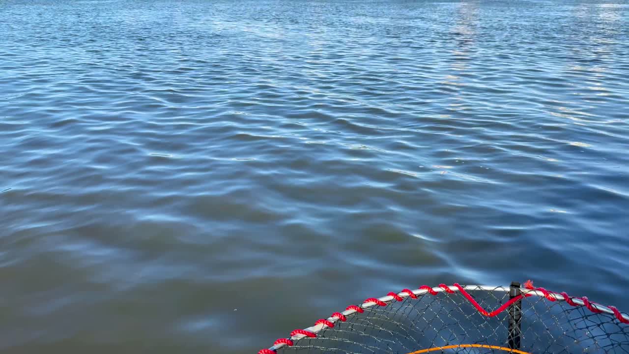 오스트레일리아 의 브로드비치 에 크래브 비 를 세우고 있다