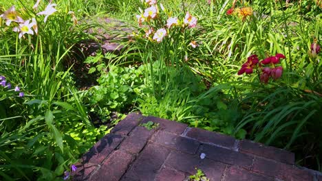 beautiful daylily garden with brick path