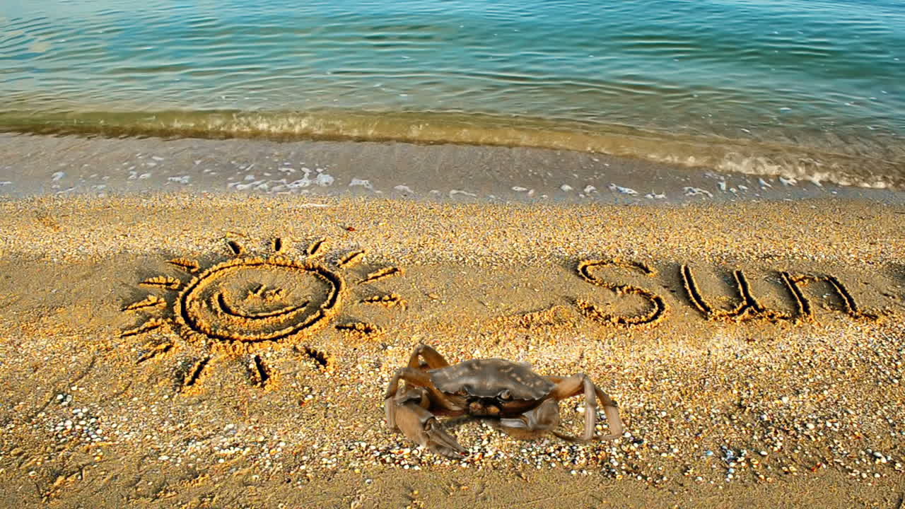 Crab and an inscription on sand, the beach. The drawing of the sun on sand