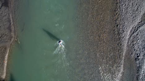 Hombre-Pescando-En-El-Río-En-Un-Día-Soleado-4k-4k