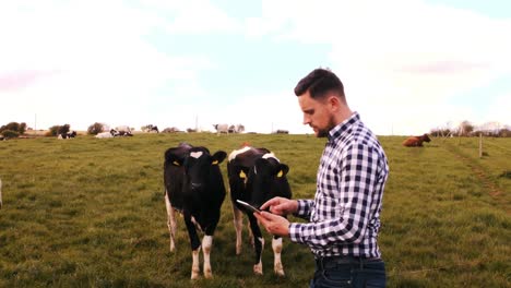 man using digital tablet