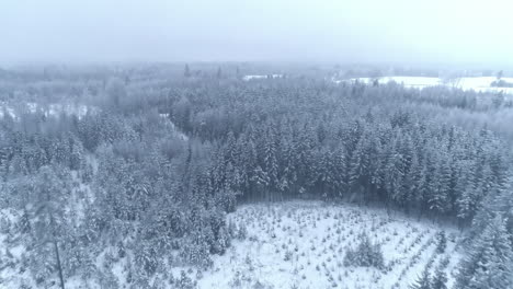 Toma-Aérea-De-Un-Paisaje-Invernal-En-Un-Bosque-Denso