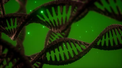 Struktur-Der-DNA-Doppelhelix-Animation