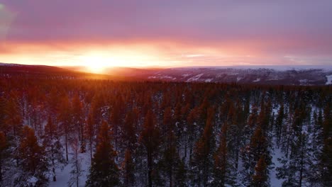 gliding over a winter forest landscape in a burning sunset