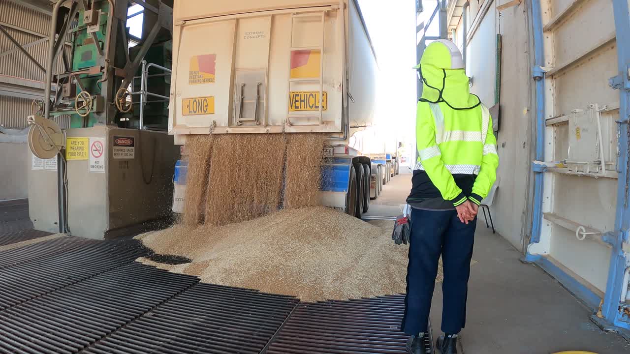 Fixed Shot Of Unloading Of Grain Into Storage Grid, Western Australia
