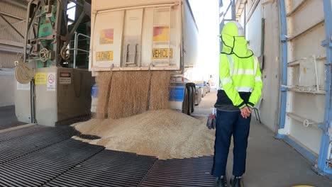 fixed shot of unloading of grain into storage grid, western australia