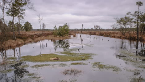 Time-Lapse-Of-Pietzmoor,-Lüneburger-Heide