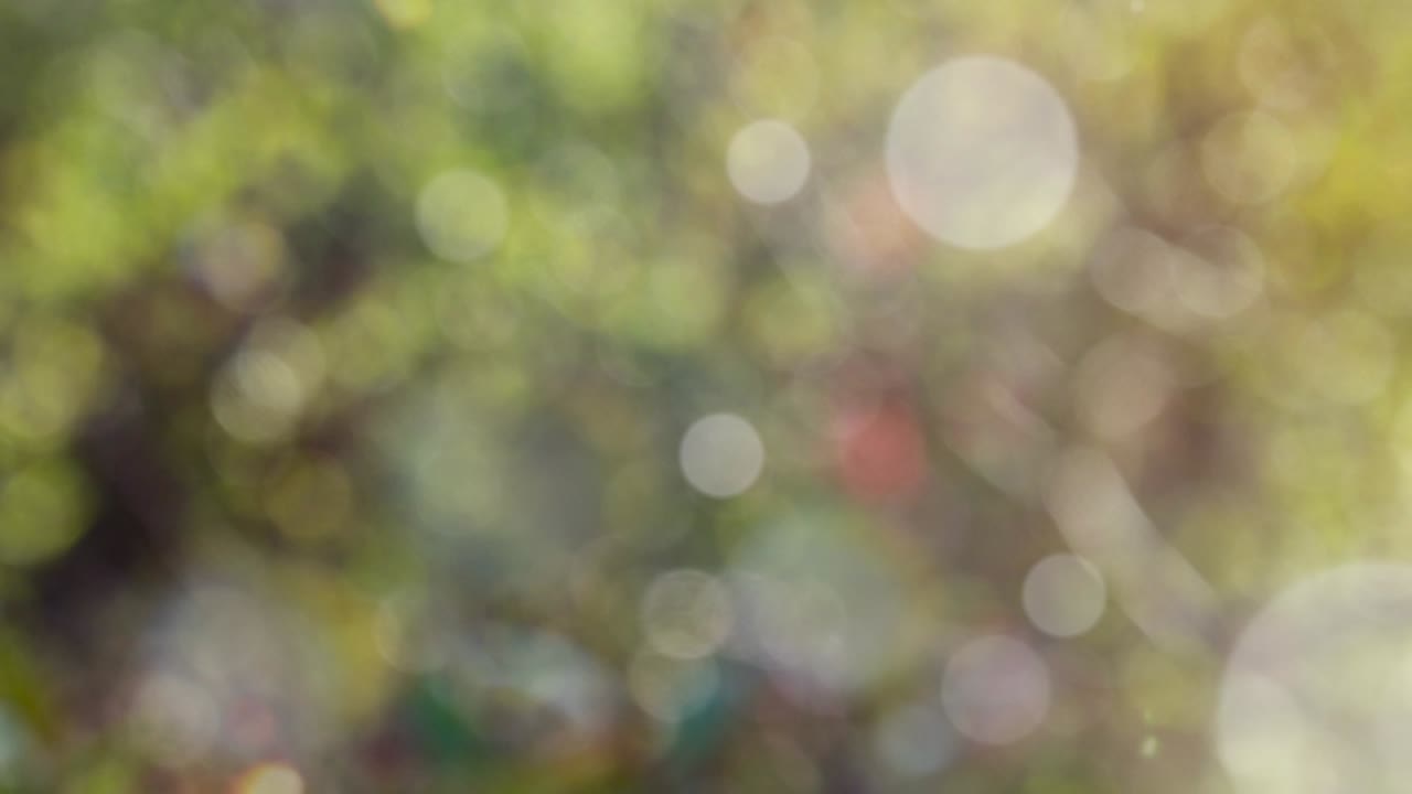 fondo de resorte abstracto con bokeh