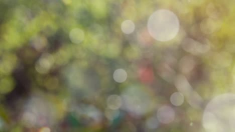 Abstract spring background with bokeh