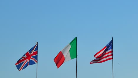 tree flags waving in the wind