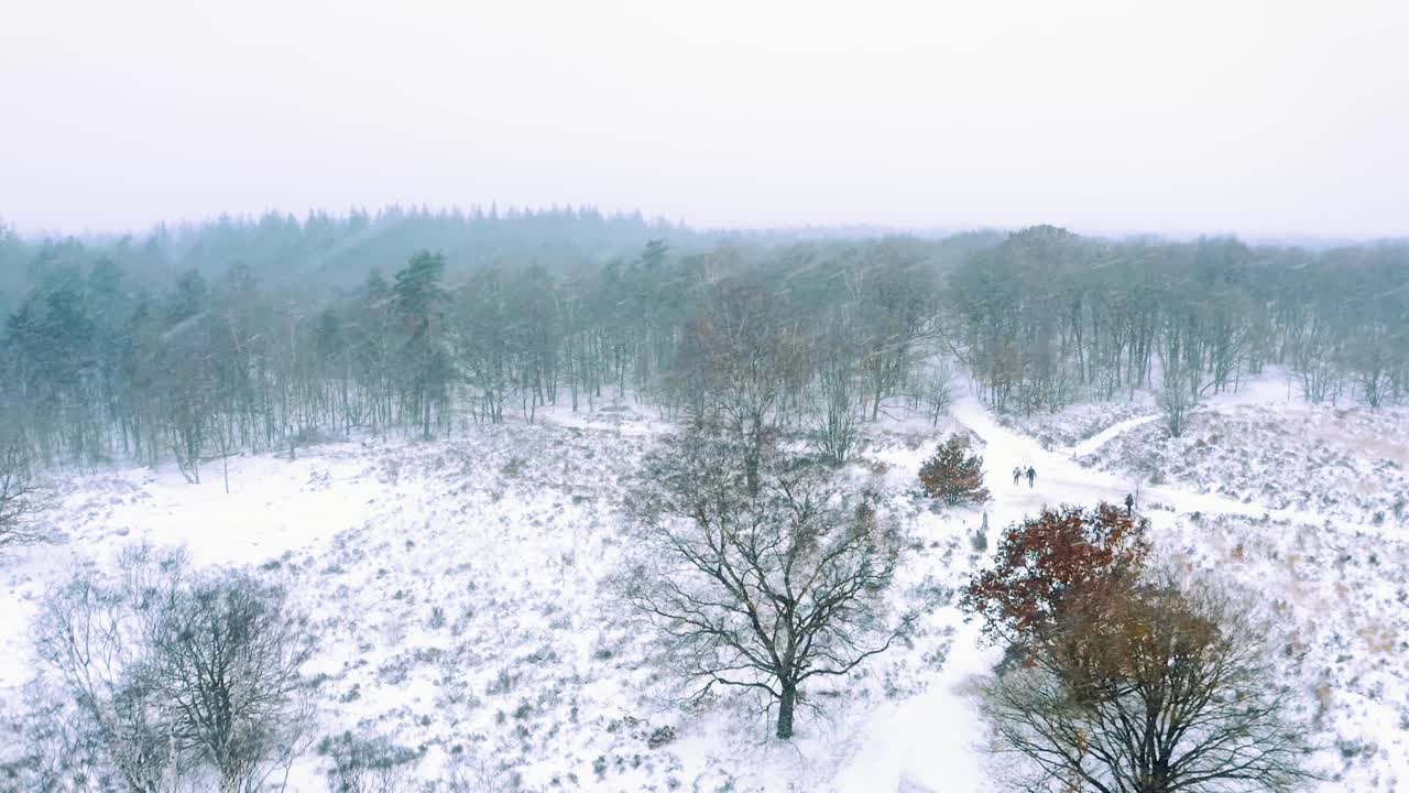 공중 - veluwe 국립 공원, 네덜란드, 와이드 샷 포워드에 눈이 내림
