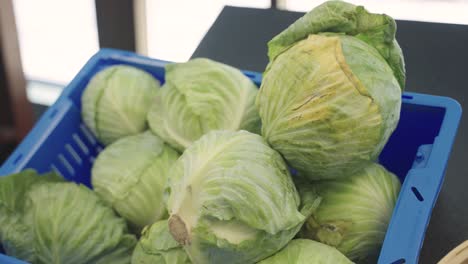 closeup shot of cabbage at grocery store. fresh produce.