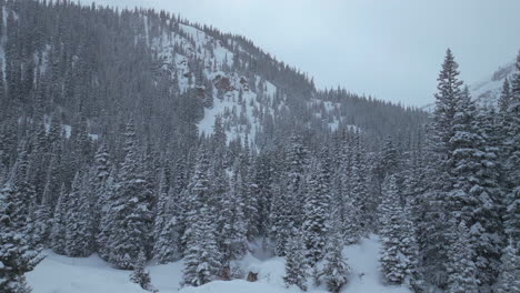 Winter-Park-Colorado-Berthoud-Jones-Pass-snowy-blizzard-aerial-drone-deep-powder-ski-snowboarder-backcountry-paradise-cold-smoke-Rocky-Mountains-national-forest-high-elevation-landscape-upward-motion