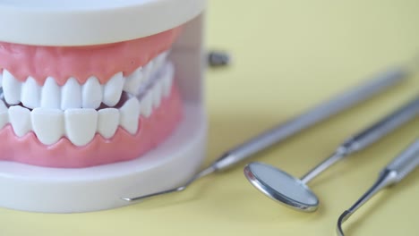 dental model and tools