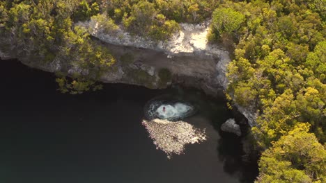 Adventurous-Couple-Jumps-Hand-In-Hand-At-Hoffman's-Cay-Blue-Hole-In-Berry-Islands,-The-Bahamas