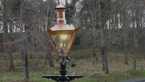 old-design-street-lamp-in-park