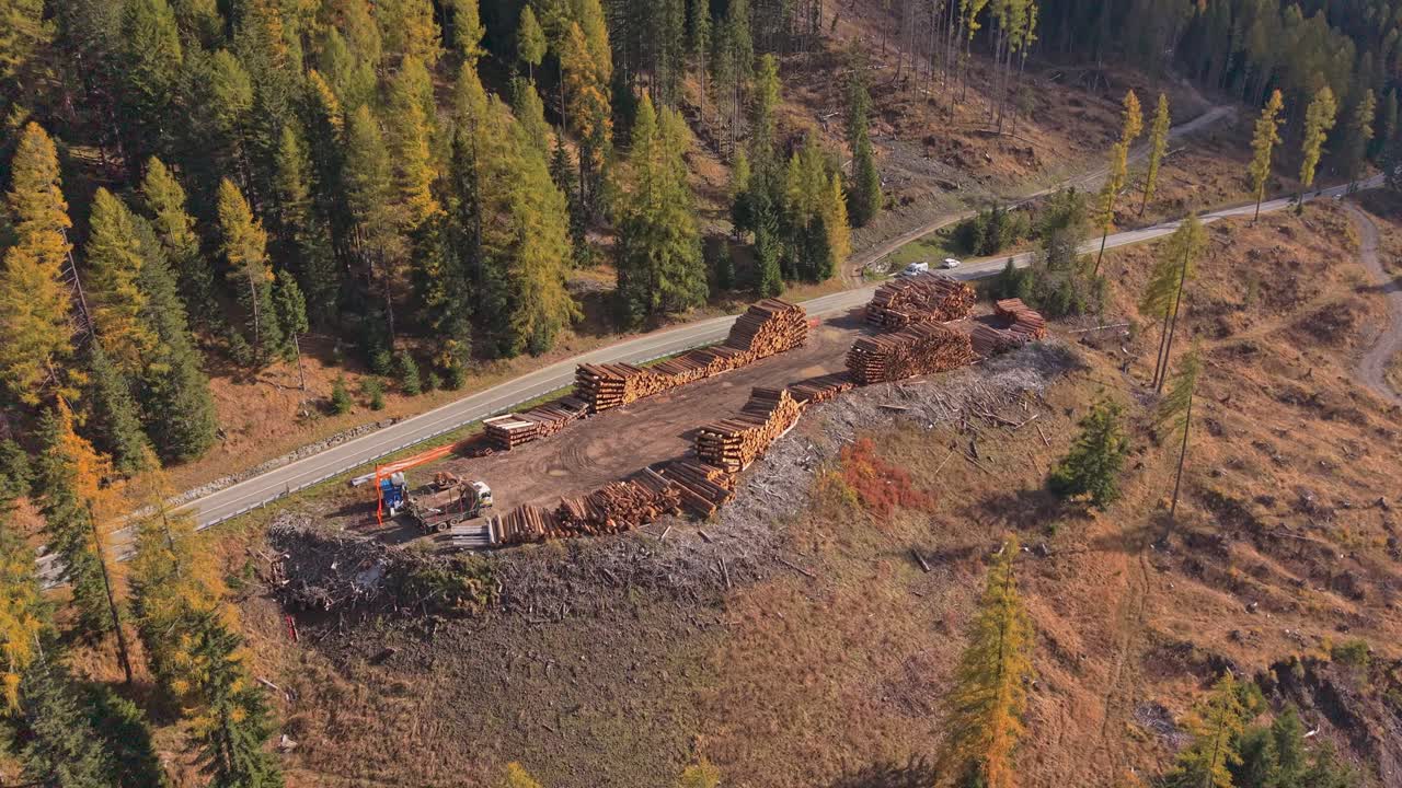 Top-down view of timber piles in mountain forest, Dolomites region