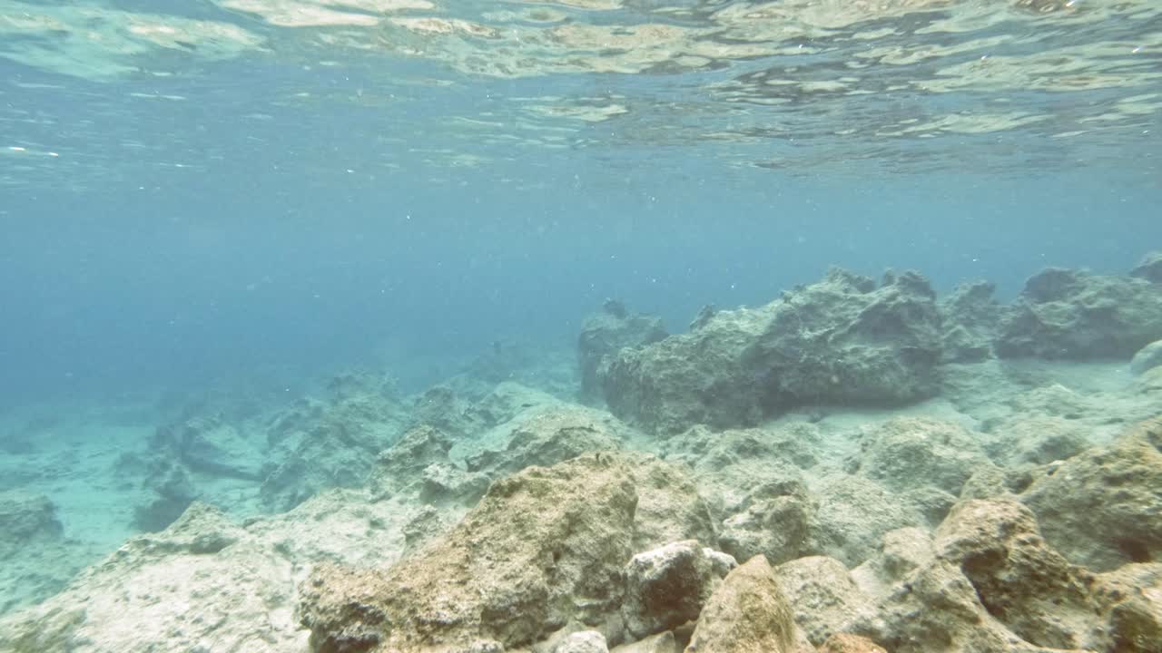fondos marinos rocosos de paralia emplisi, grecia- filmación submarina