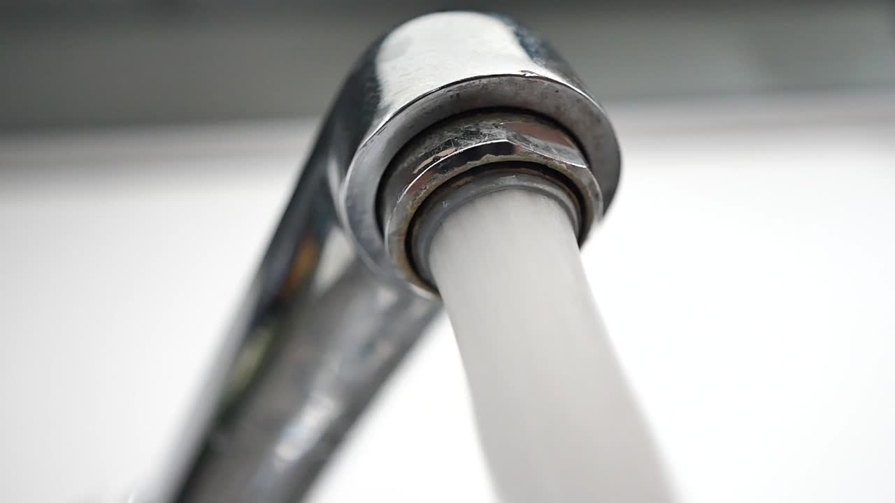 물 프의 클로즈업